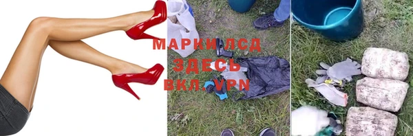 индика Беломорск