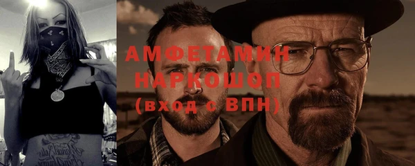 индика Беломорск