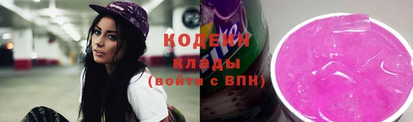 индика Беломорск