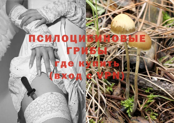 соль ск Белоозёрский
