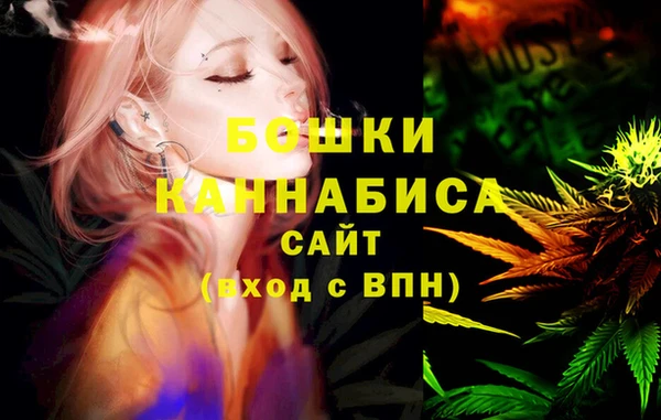 индика Беломорск