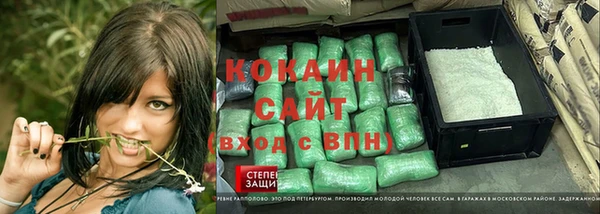 индика Беломорск