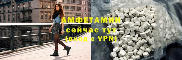 индика Беломорск