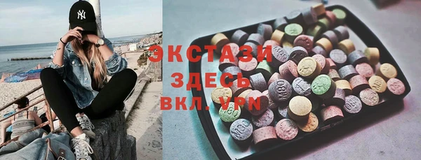 индика Беломорск