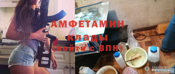 твердый Сосновый Бор