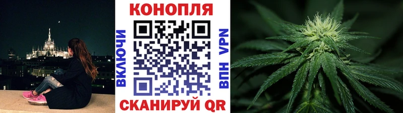 как найти закладки Кингисепп Бошки Шишки гибрид